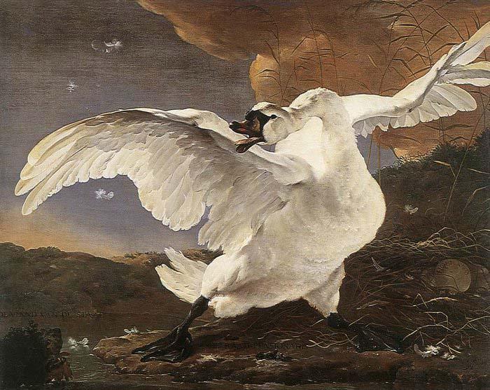 ASSELYN, Jan The Threatened Swan before 1652 China oil painting art